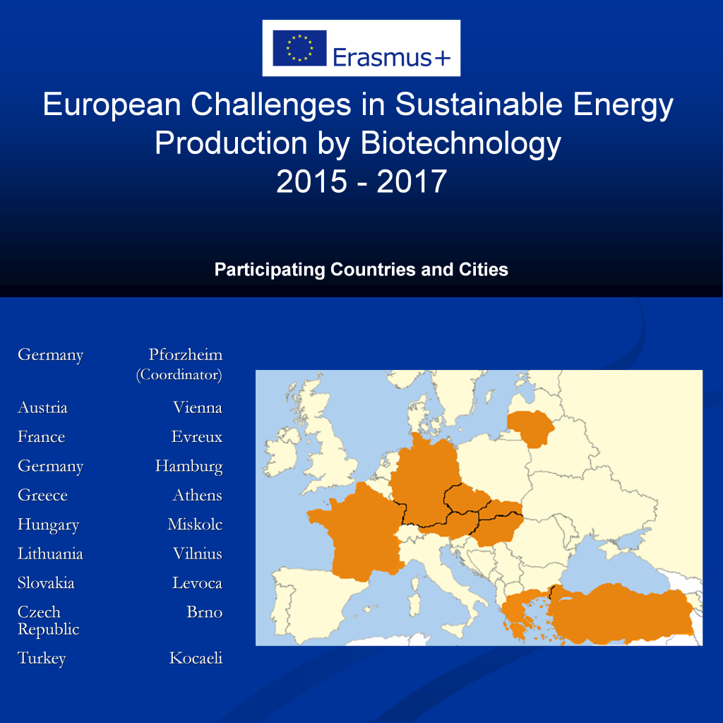 Participants poster