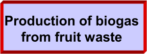 fruit waste